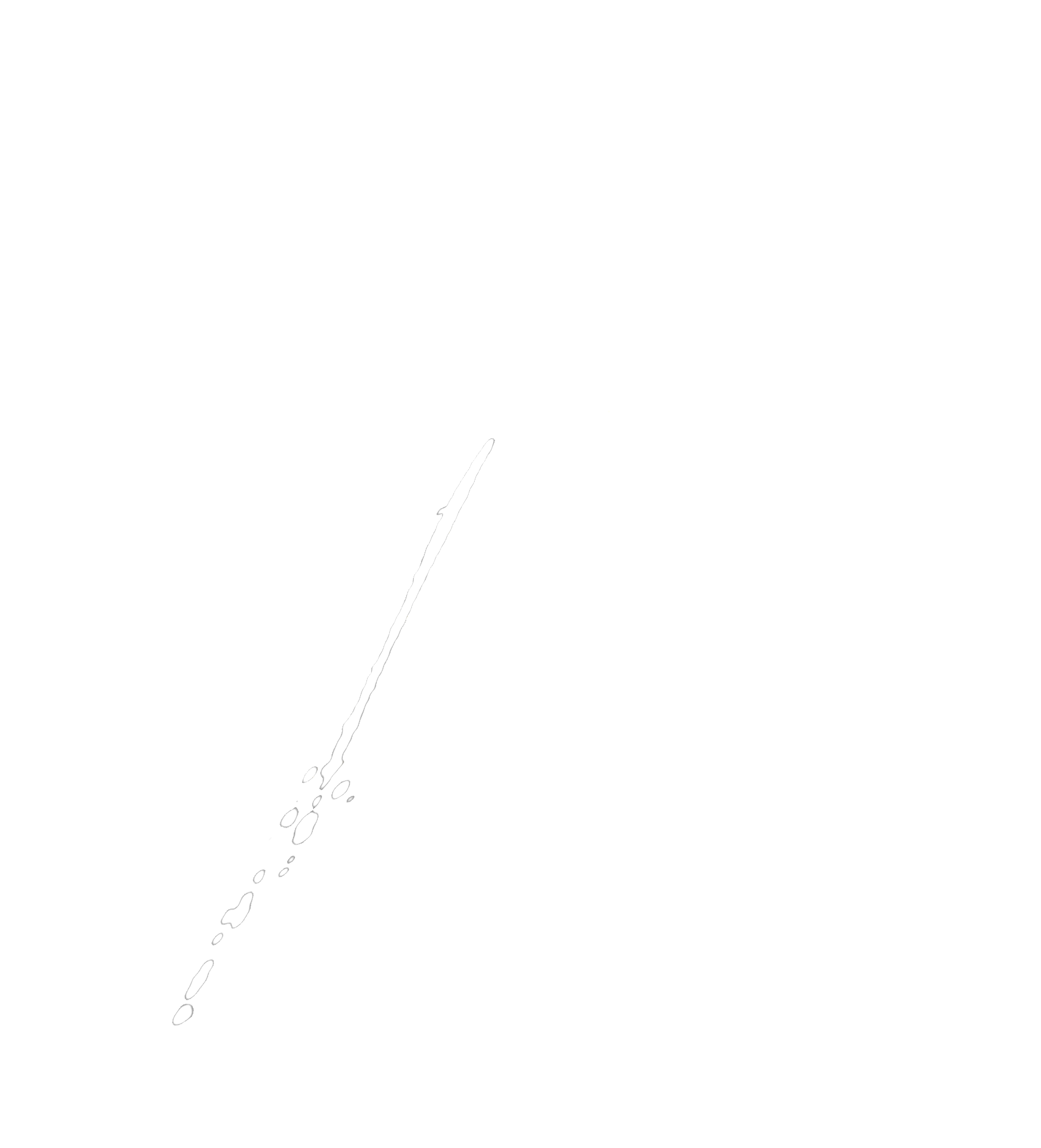 Firma